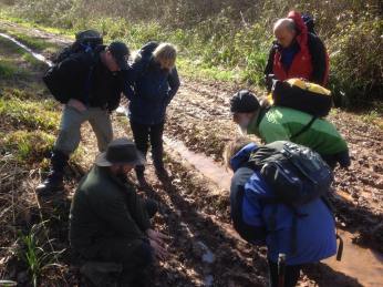 11050745_10153131249938252_2964177117585439332_n