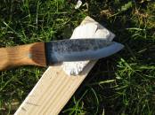 Birch polypore fungus knife strop