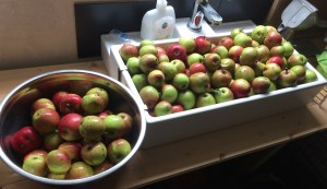 20151003_093637957_iOS