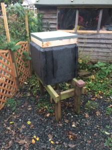 20151108_144715682_iOS